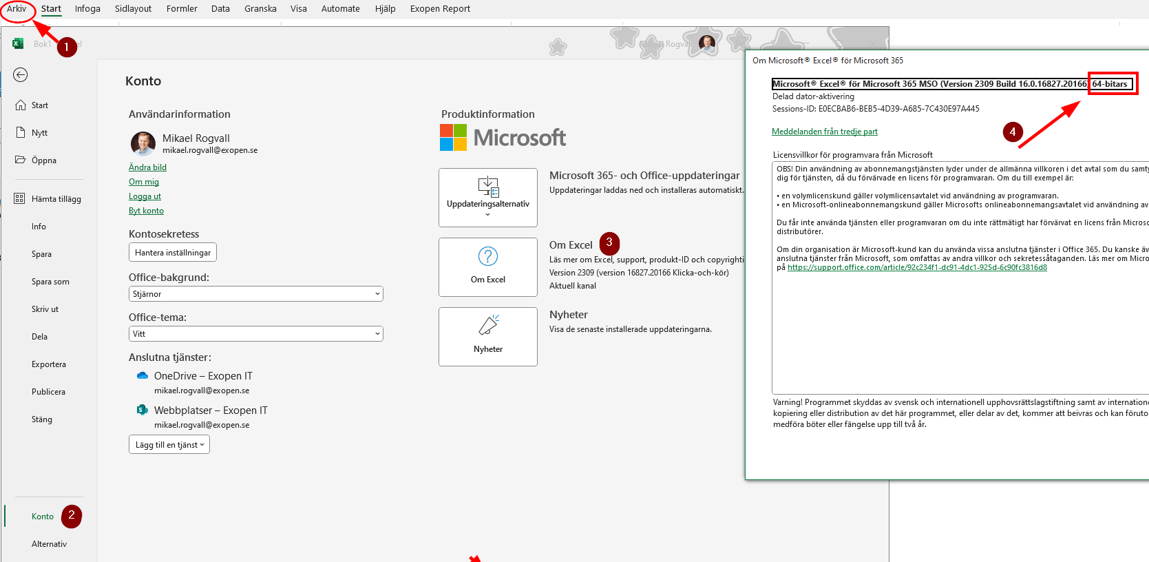 Excel Version Info